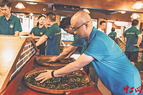 茶香四溢 福建武夷山茶叶加工工职业技能竞赛成功举办