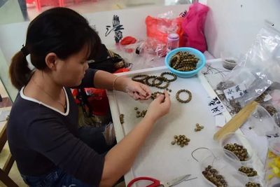 茂名沙垌村 以“一棵树”为媒，茶香沉香共谱富民曲