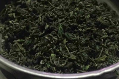 绿茶家族全解析 主要品种与高品质名茶推荐排名