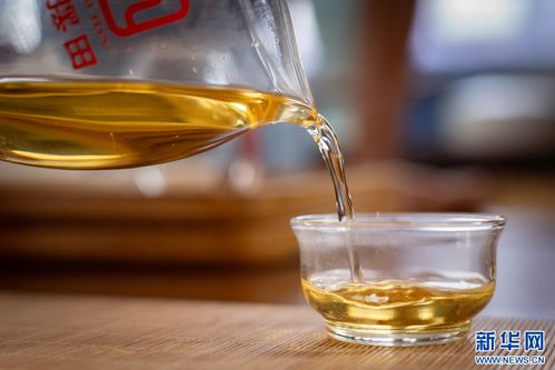 万千气象看云南 | 凤庆春茶开采，茶香四溢的夏秋滋味